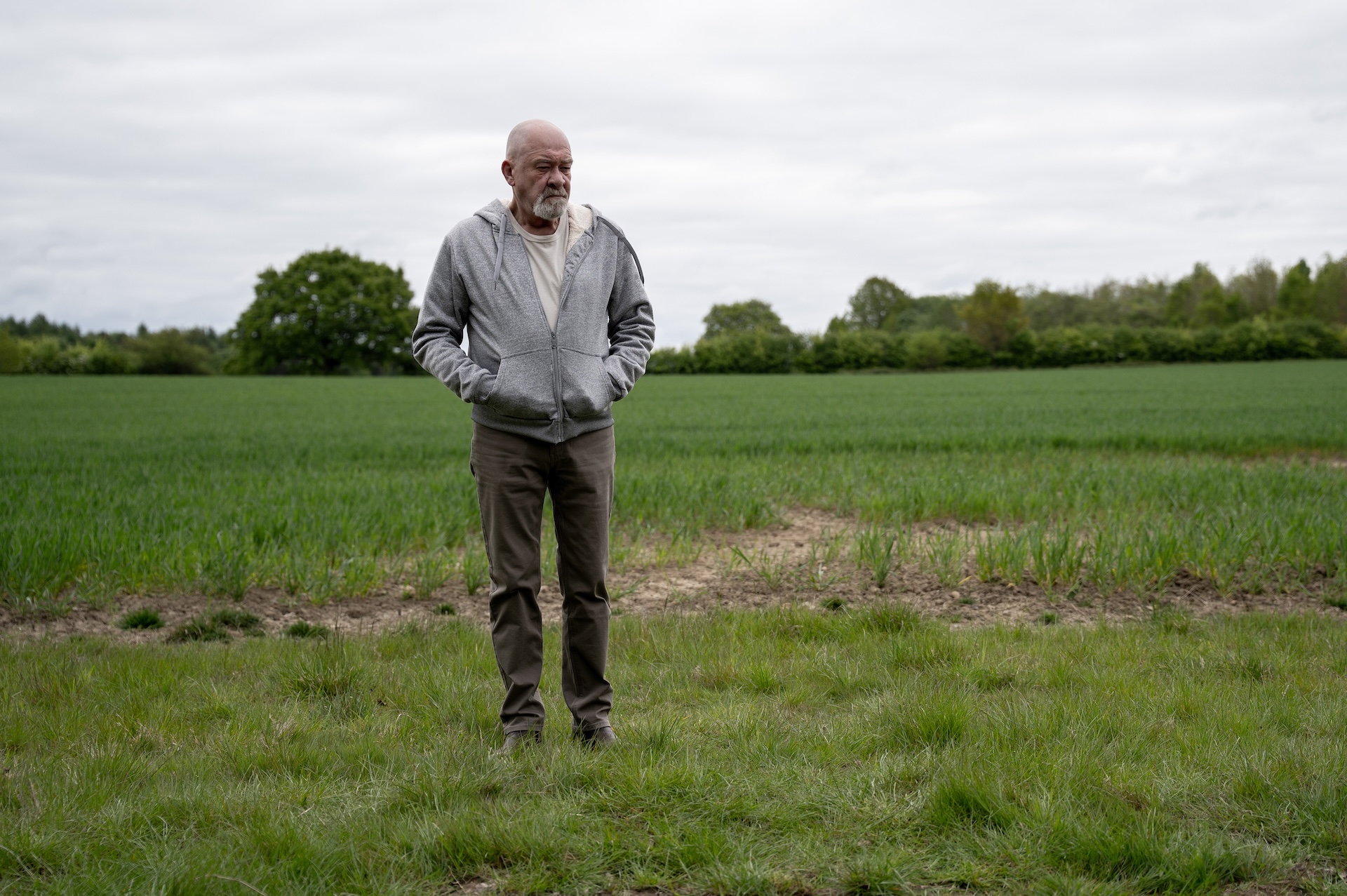 Bear Wolf standing in a field in Emmerdale