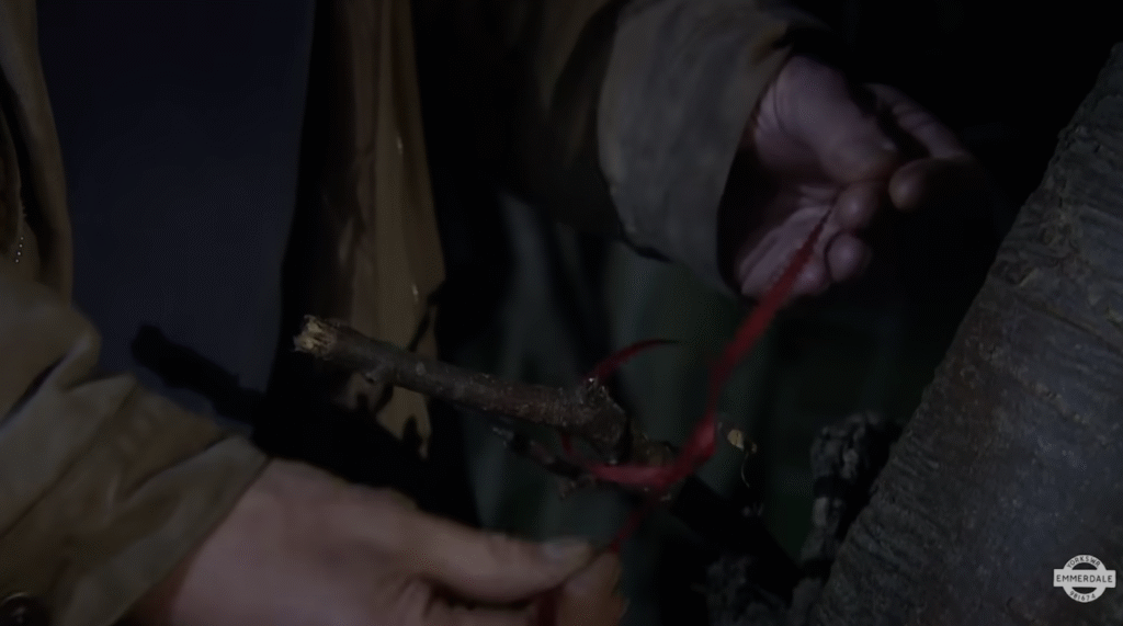 Bear tied Anya's bracelet around the tree branch