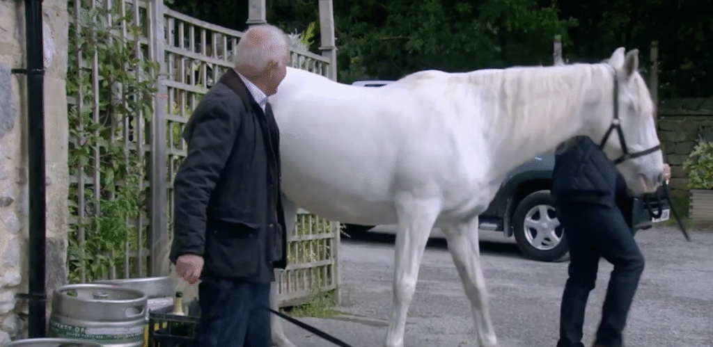 Ice walking in the village