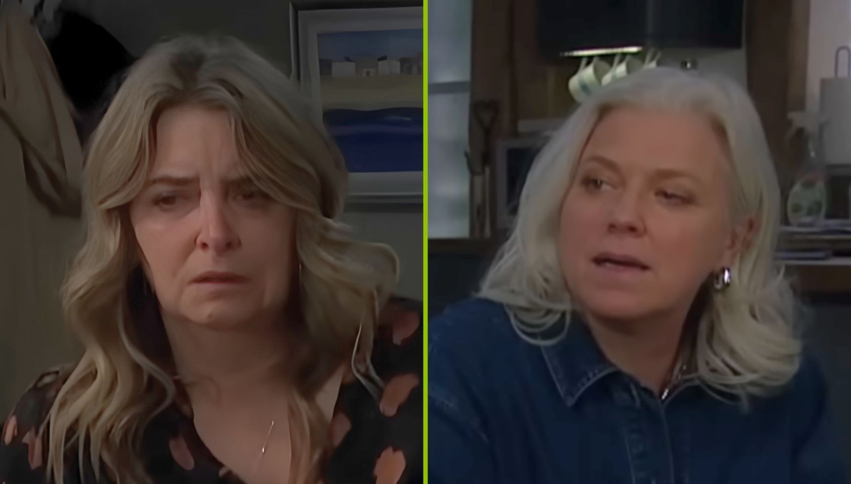 'Bravo' declare Emmerdale fans after 'horrible' Charity episode, but others insist they've 'gone too far'